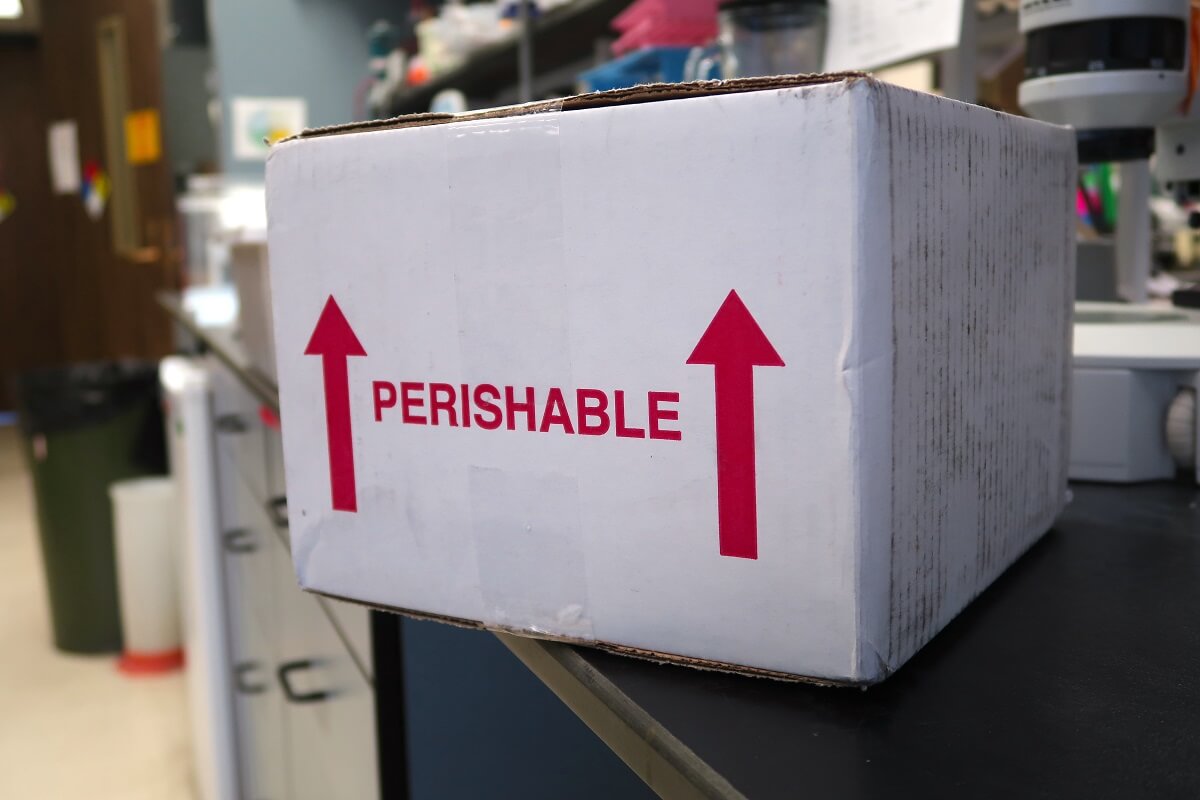 Perishable Logistics: 4 Challenges of Perishable Food Freight